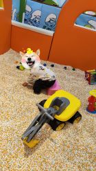 -爱婴室(上海浦建路店)