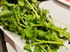 -润鼎四季(华发商都店)
