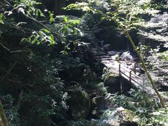 -藏龙百瀑风景区