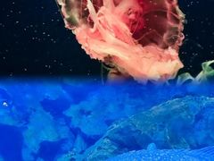 -西安曲江海洋极地公园