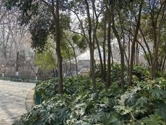 -西安市长乐公园