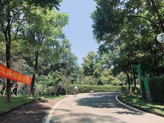 -火炉山森林公园