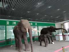 -野象谷景区