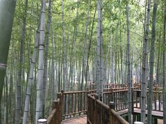 -陶祖圣境风景区