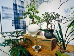 -自由生长植物工作室(深港花卉中心店)