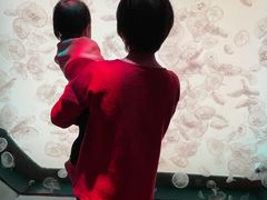 -沈阳海洋探索中心