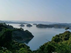 -河源万绿湖美思威尔顿酒店