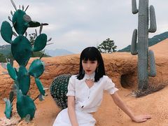 -西海岸生态观光园