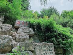 -西安曲江寒窑遗址公园