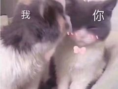 -蕃茄述·好汤自然来(江汉路店)