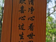 -棋盘山风景区