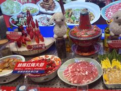 -阿财老铺·老蚌埠龙虾城(华夏总店)