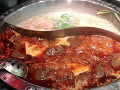 -井格重庆火锅(西直门凯德Mall店)