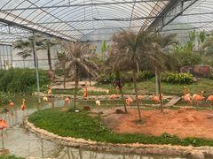 -无锡动物园·太湖欢乐园