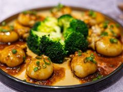 -千灯盛汇·头牌粤菜(致越优城店)