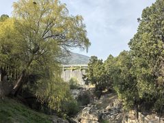 -泰山风景名胜区-虎山公园
