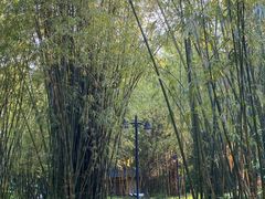 -晓港公园