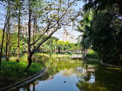-黄埔荔枝公园
