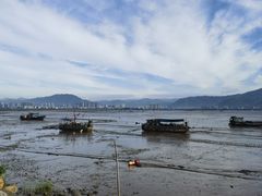 -北岐滩涂
