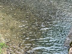 -黄山翡翠谷景区