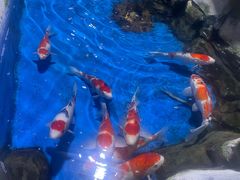 -顺德南宏海立方海洋公园