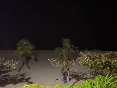 -渔家火锅·海鲜自助餐·演艺(亚龙湾天域酒店)