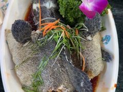 -小海豚·老字号海鲜餐厅(三亚湾店)