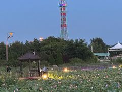 -羊亭河湿地公园