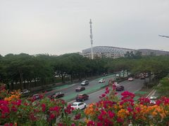 -云溪植物园