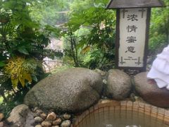 -三江森林温泉度假区