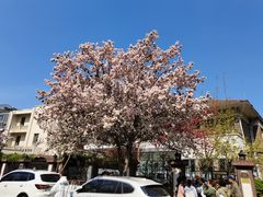 -天津五大道文化旅游区