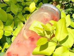-奈雪的茶(正弘城PRO+店)