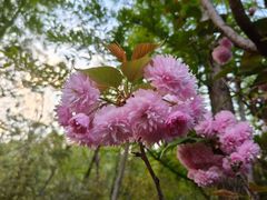 -洛龙公园
