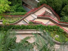 -香港大学