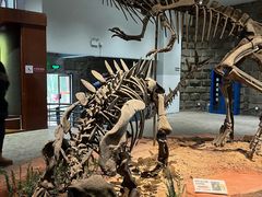 -自贡恐龙博物馆