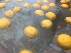 -天目湖涵田半山温泉