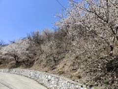 -香山公园