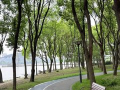 -高子水居