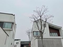 -东梓关景区村庄