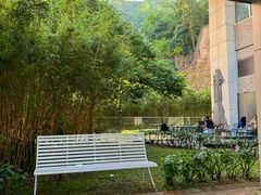 -香港大学