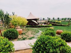 -丹世红酒庄·烧烤·团建·婚礼·水上运动