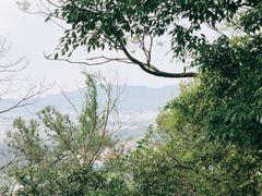 -火炉山森林公园