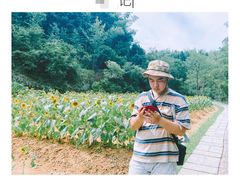 -常德桃花源景区