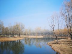 -东郊湿地公园
