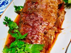 蔡家功夫鱼-蔡家酒楼(一德街店)