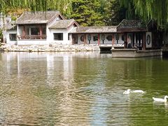 -团结湖公园