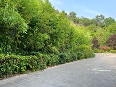-大伊山景区