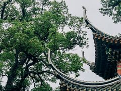 -南华禅寺