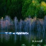 地如其名:七彩森林 | 错过这里，你将错过整个秋天