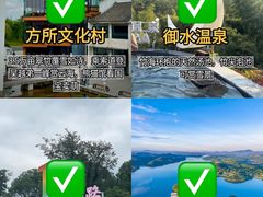 -紫藤园·天目湖大鱼头(南山竹海店)